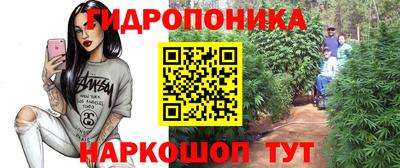 молекула духа Анжеро-Судженск