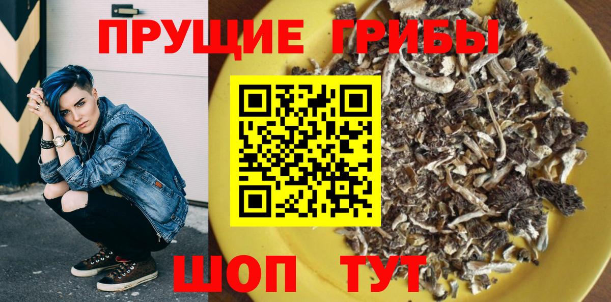 Галлюциногенные грибы мицелий  наркошоп  Ачхой-Мартан  Вход с VPN  Галлюциногенные грибы Psilocybe 